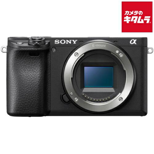 楽天市場】α6400 バッテリーの通販