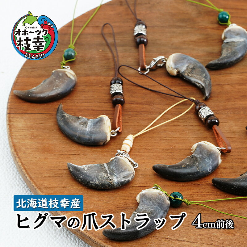 楽天市場】熊 爪の通販