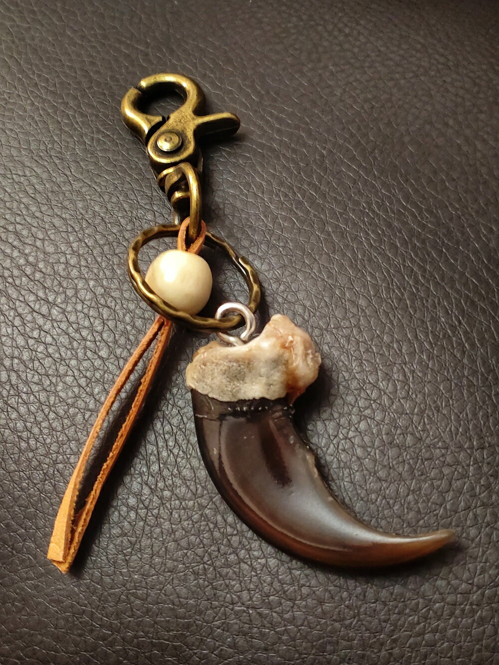 熊爪 ベアクロー 10個セット 標本 キムンカムイ 北海道 【公式通販】