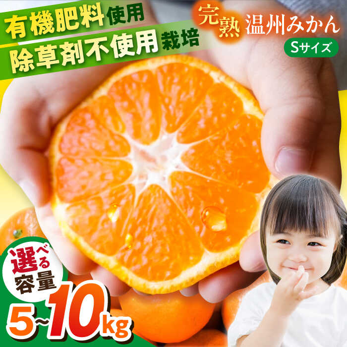 楽天市場】【ふるさと納税】【選べる容量！】温州みかん Lサイズ 約5kg