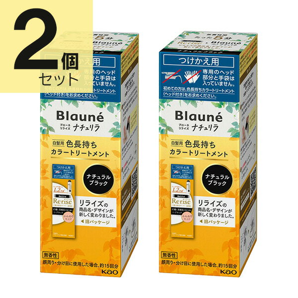 楽天市場】花王 リライズ つけかえ ブラックの通販