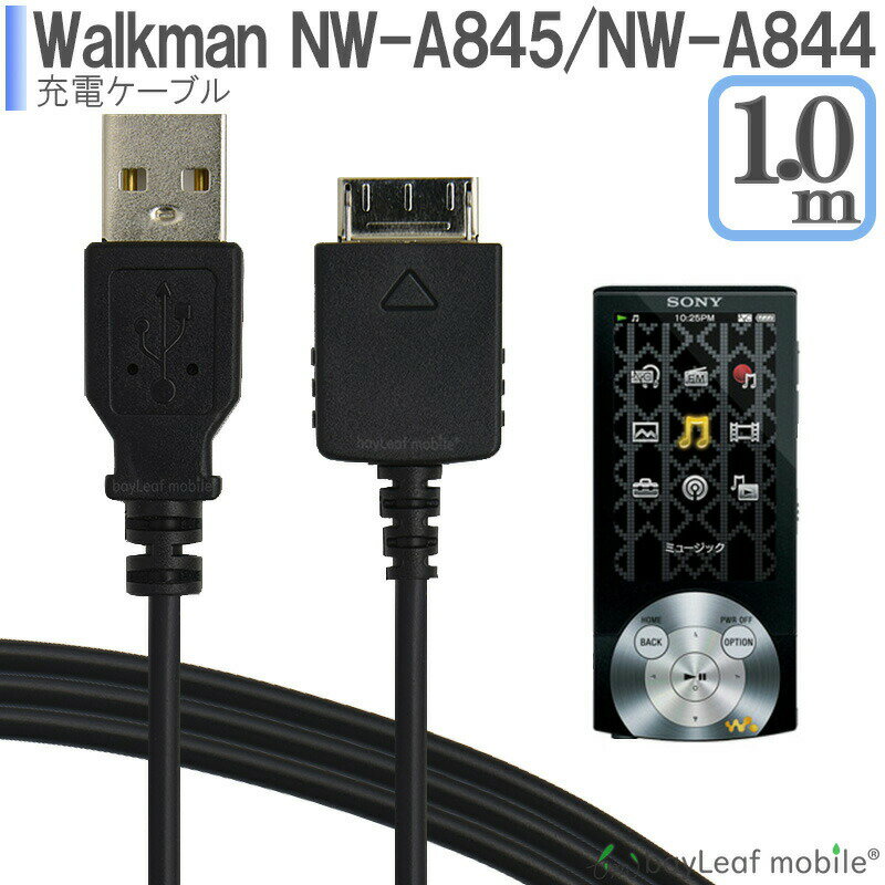 walkman-cable.jpg