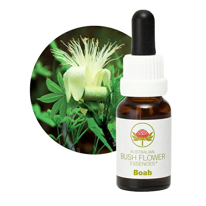 楽天市場】オーストラリアン ブッシュ フラワーエッセンスの通販