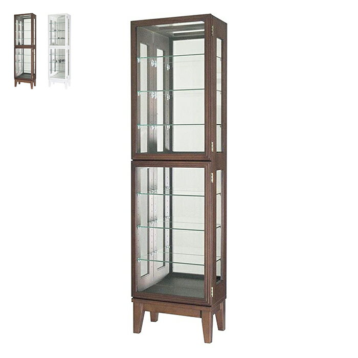 楽天市場】塩川光明堂 キュリオケースの通販