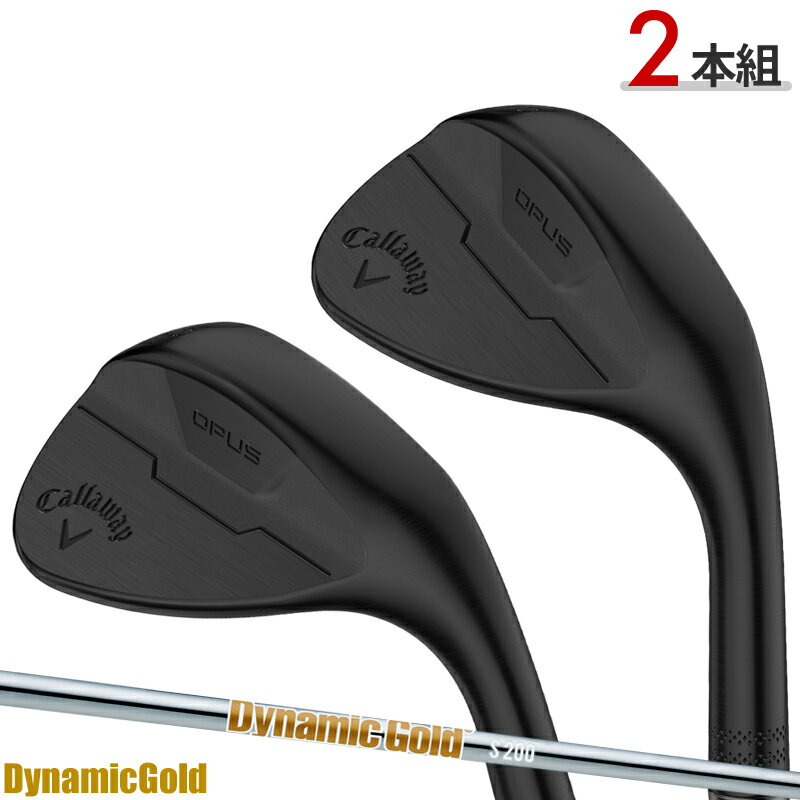 タイトリスト ゴルフウェッジ 2本セット 【公式通販】