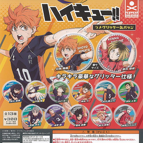 ハイキュー!! コレクション缶バッジ 第5弾 及川徹 60点 ハイキュー