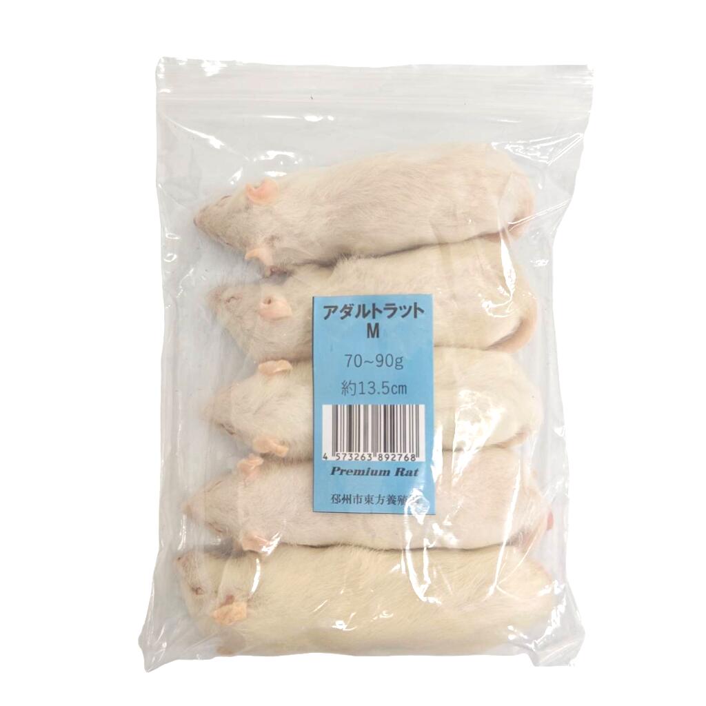 楽天市場】冷凍ラットの通販