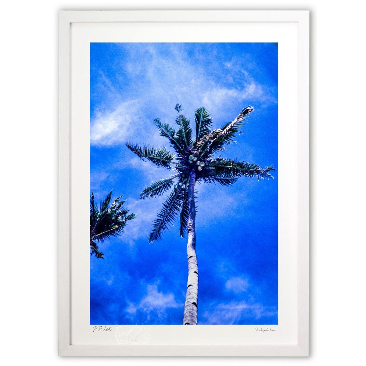 楽天市場】ヤシの木（版画｜絵画）：アート・美術品・骨董品・民芸品