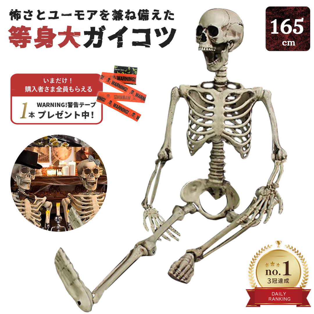 等身大 ガイコツ スカル 等身大 ガイコツ スカル 等身大 ガイコツ