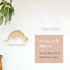 楽天市場】キャット ステップ 白の通販