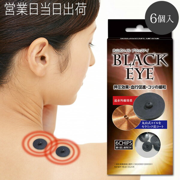 楽天市場】丸山式コイルの通販