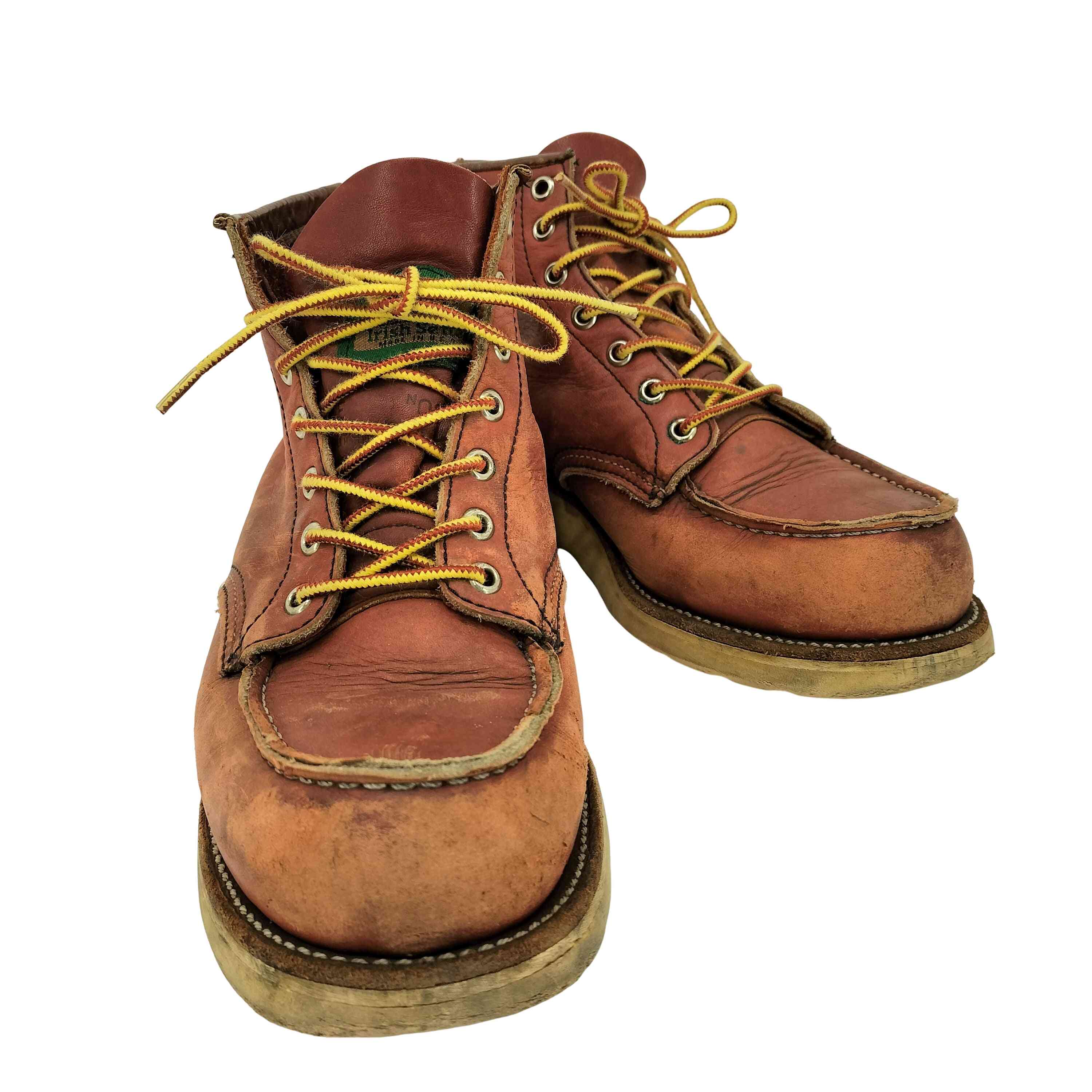楽天市場】redwing 875 犬の通販