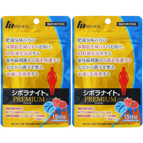 楽天市場】シボラナイト2の通販