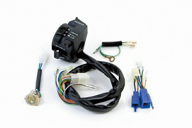 楽天市場】エイプ50 fi 武川の通販