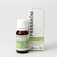 楽天市場】プラナロム ラヴィン ツァラの通販