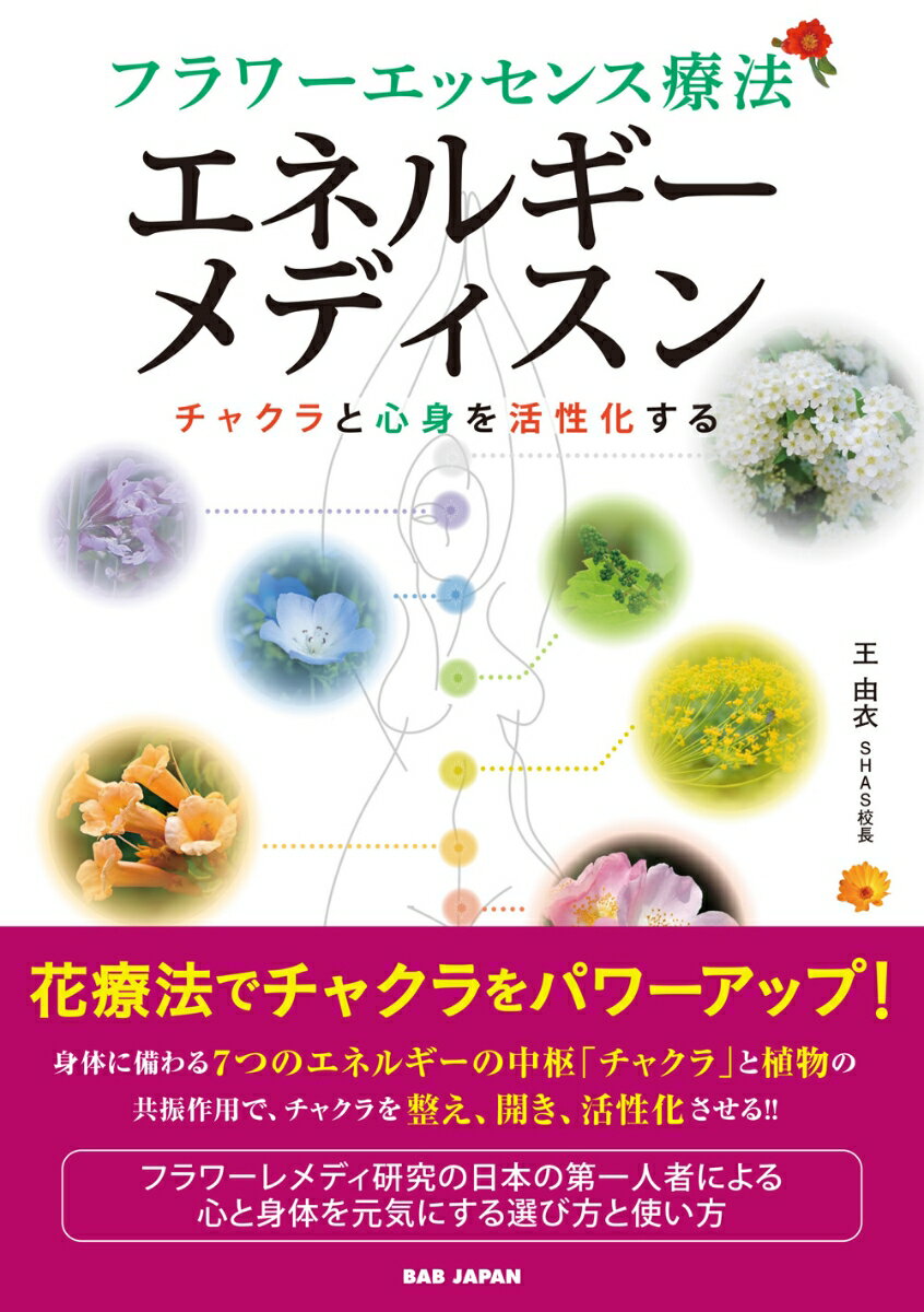 楽天市場】エネルギーメディスンの通販