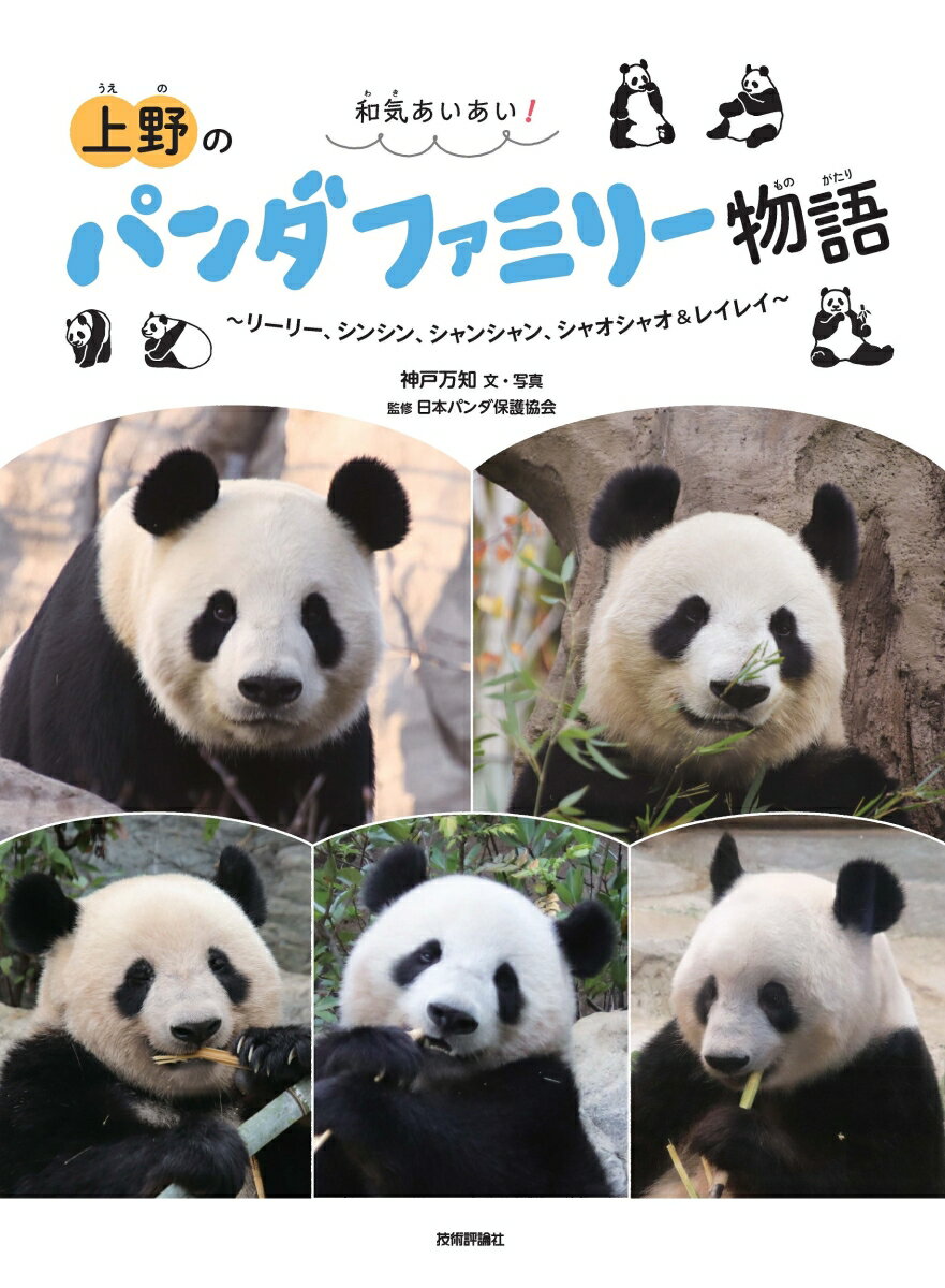 楽天市場】パンダ 上野動物園 歴代の通販