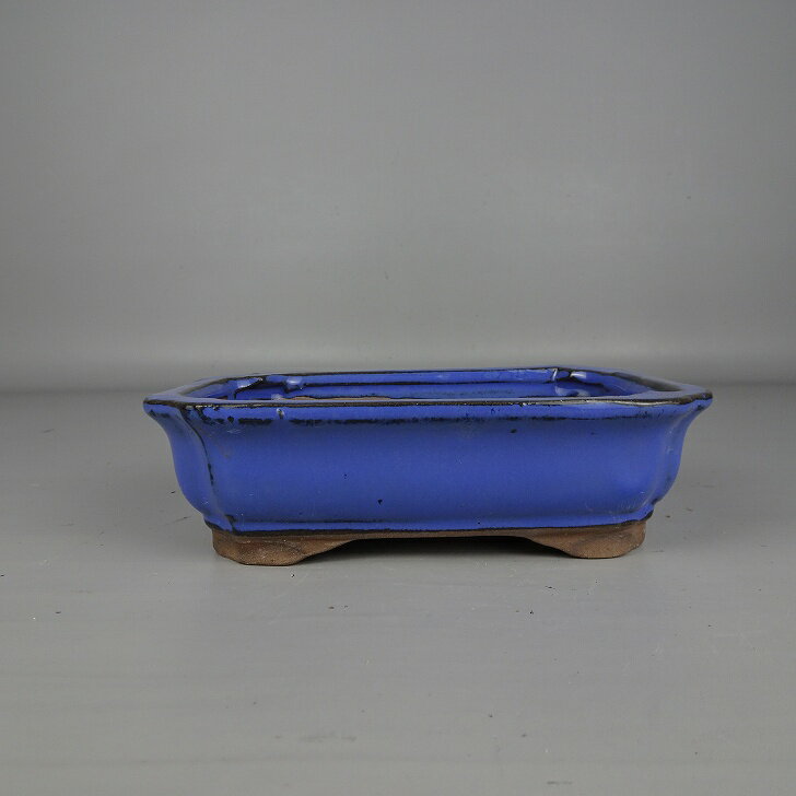 楽天市場】落款（種類（植木鉢）盆栽鉢）（植木鉢・プランター