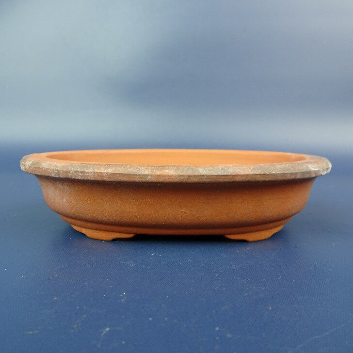 楽天市場】盆栽 鉢 楕円の通販