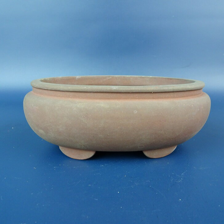 楽天市場】中国宜興の通販