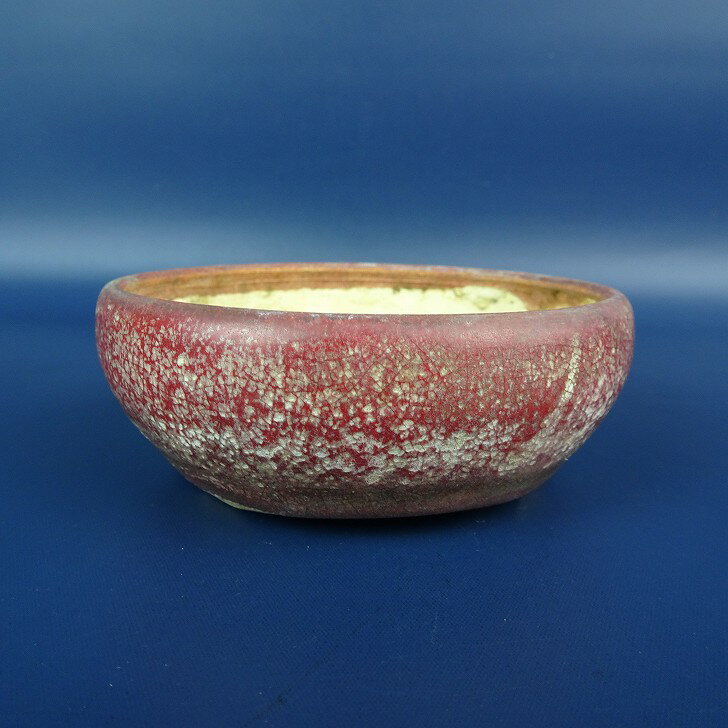 楽天市場】美功鉢の通販