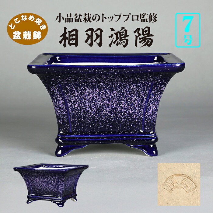 楽天市場】鴻陽 鉢の通販