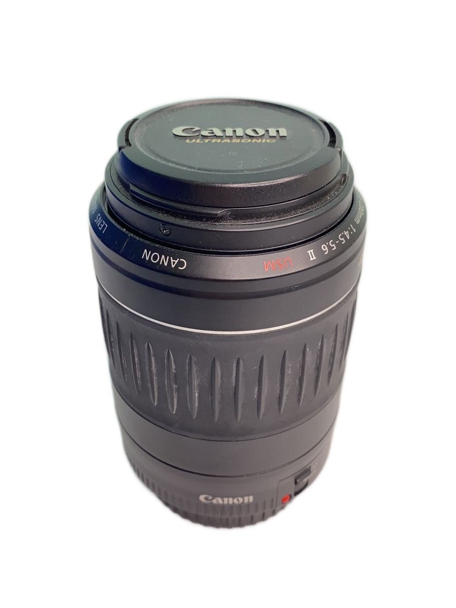 楽天市場】キャノン レンズ ultrasonicの通販