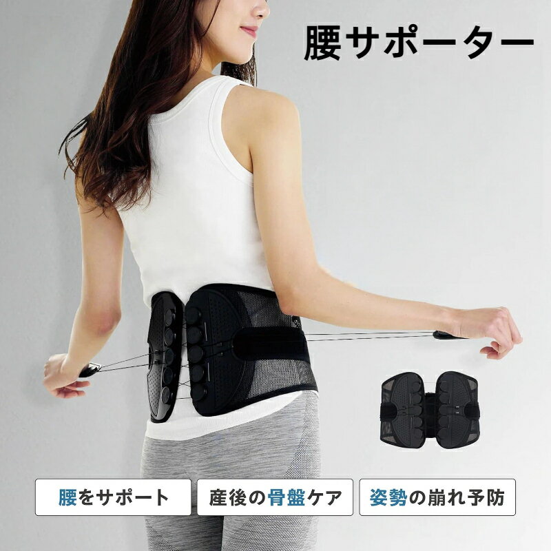 楽天市場】ガードナーベルト mサイズの通販