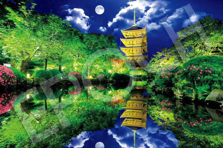 新品未開封 Peter Motz ジグソーパズル 2016ピース 超達人 廃盤 Amazon