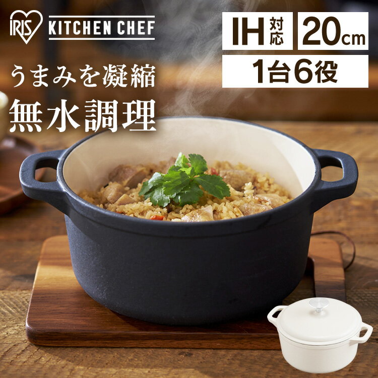 両手鍋 IH 20cm 無加水鍋 無水調理 鍋 IH対応 ご飯 炊飯 鋳鉄 鋳鉄鍋