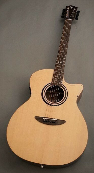 楽天市場】dct ギターの通販