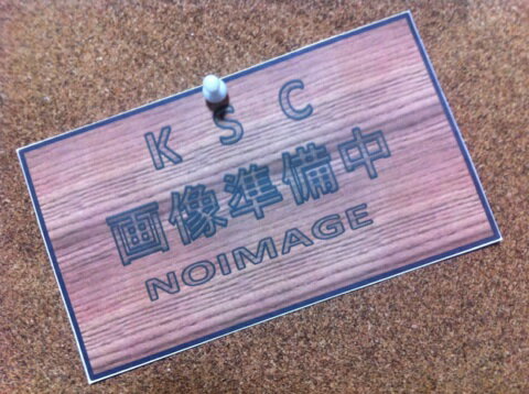 楽天市場】ノーホシtheルーザーの通販