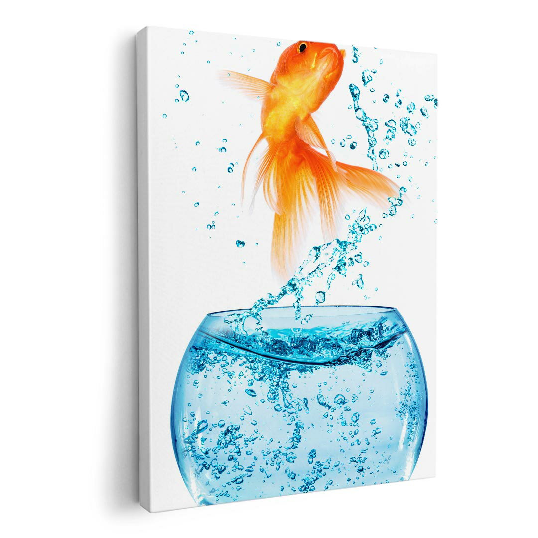 楽天市場】アクリルアート 金魚の通販