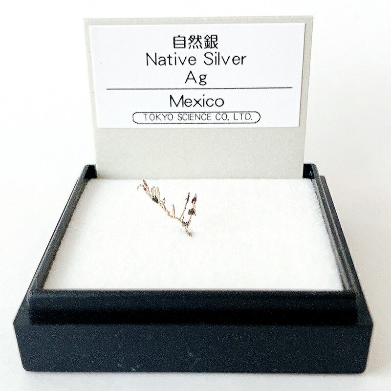 楽天市場】自然銀の通販