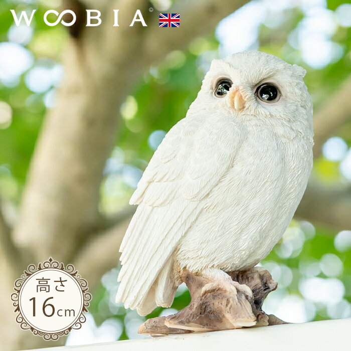 楽天市場】ミミズク 置物の通販