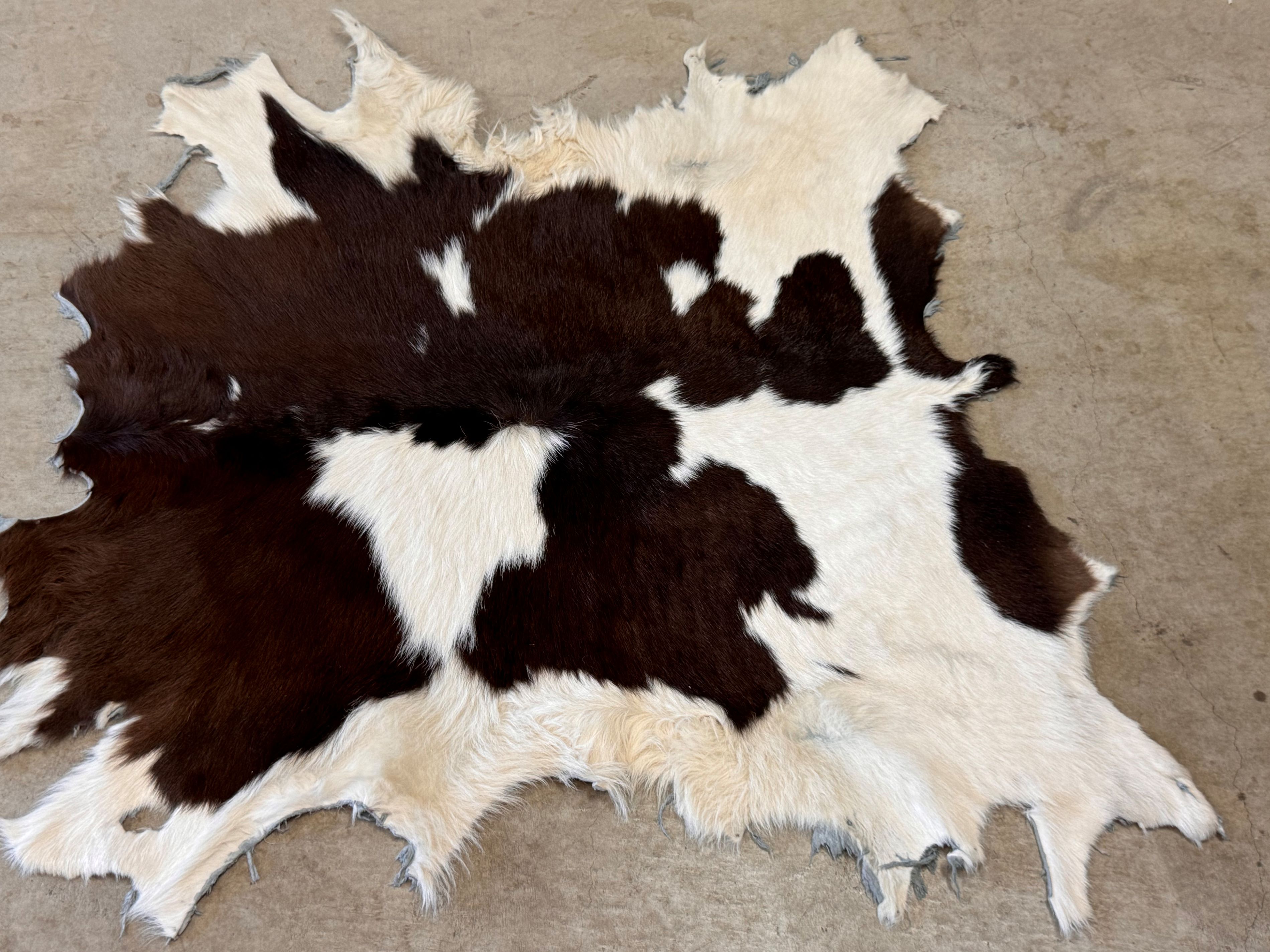 楽天市場】ハラコ カウラグの通販