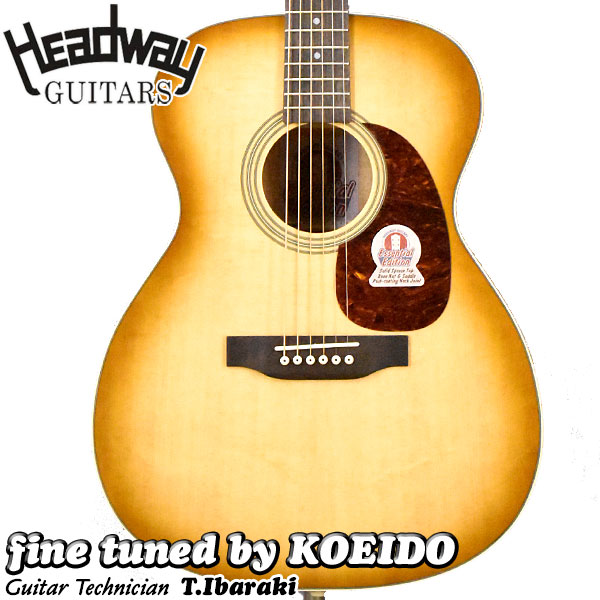 楽天市場】ヘッド ウェイ ギター ケースの通販