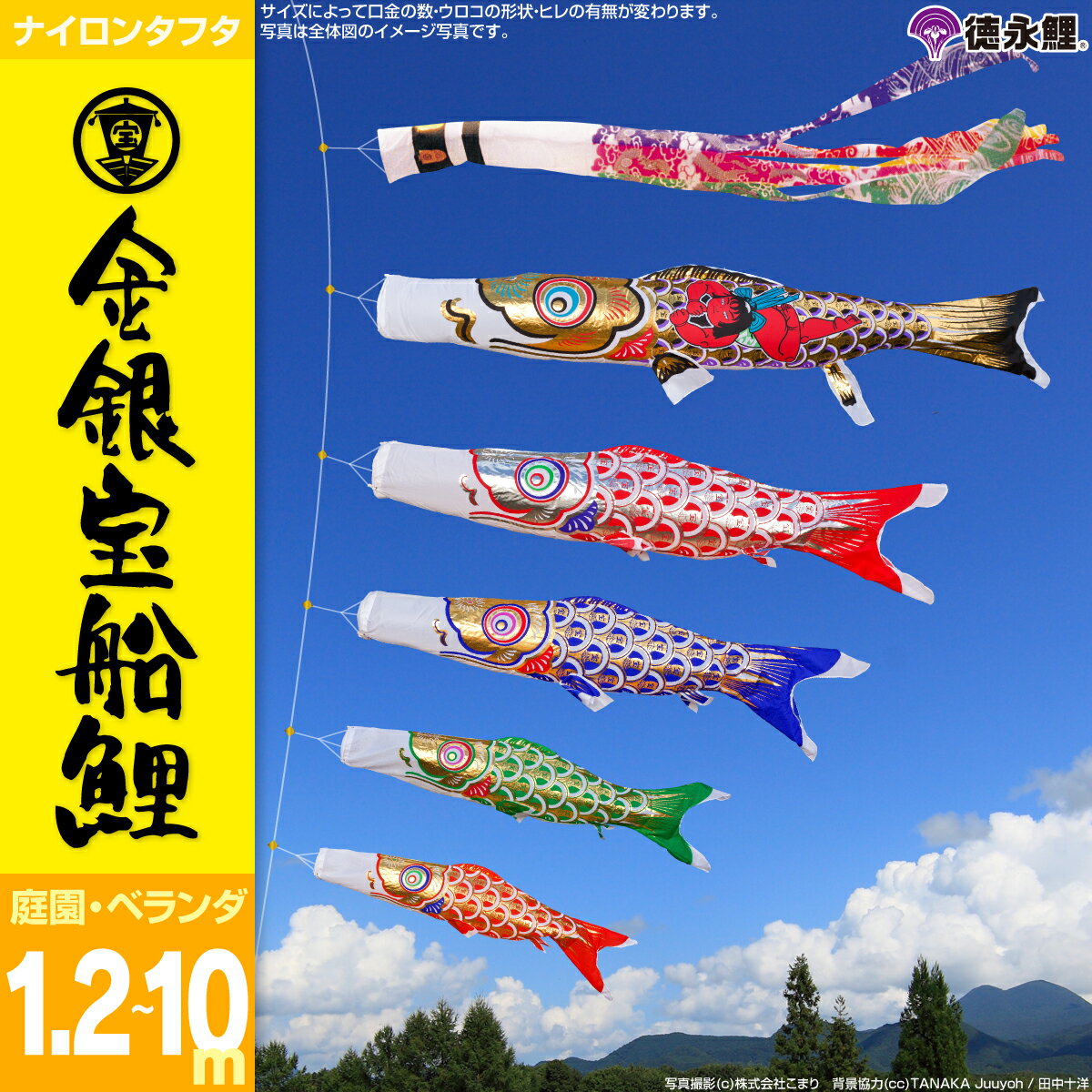 徳永こいのぼり 金銀宝船鯉 | ぷりふあ人形