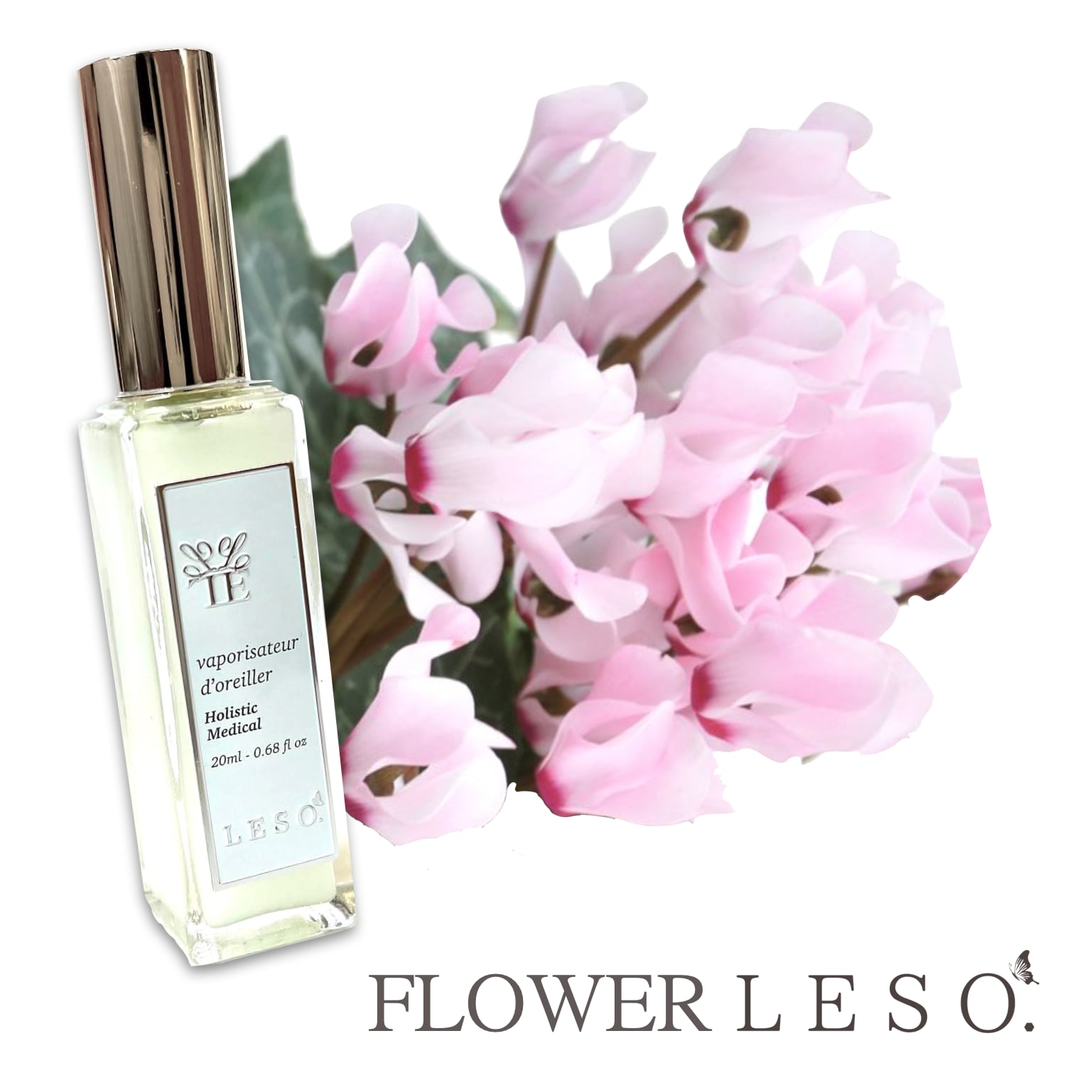 楽天市場】シクラメン（香水・フレグランス｜美容・コスメ・香水）の通販