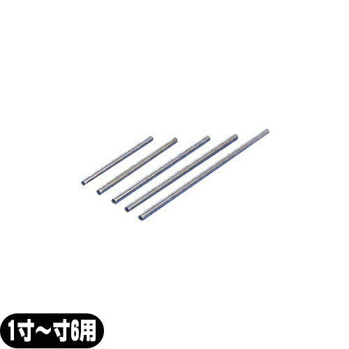 楽天市場】鍼管の通販