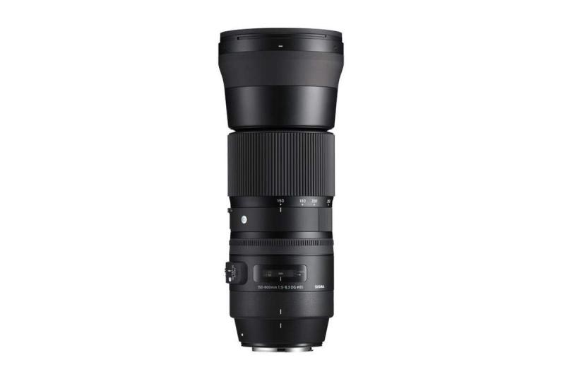 楽天市場】sigma 150-600 nikon（カメラ用交換レンズ｜カメラ・ビデオ