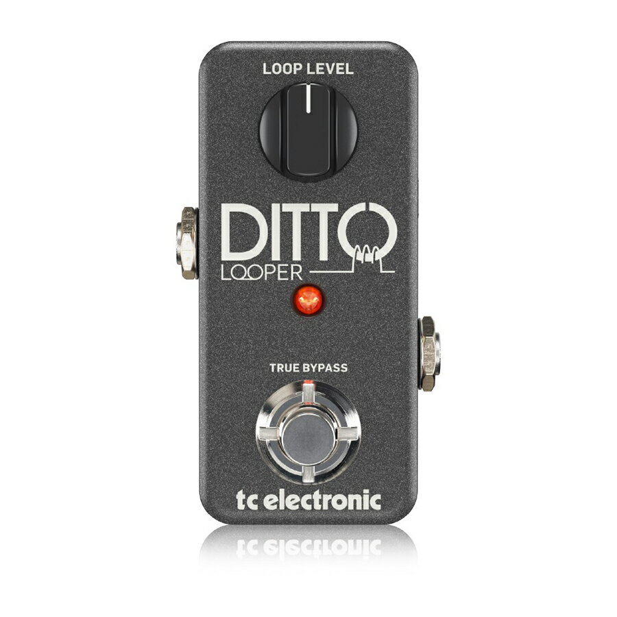 楽天市場】tc electronic ditto x4 looper ルーパーの通販
