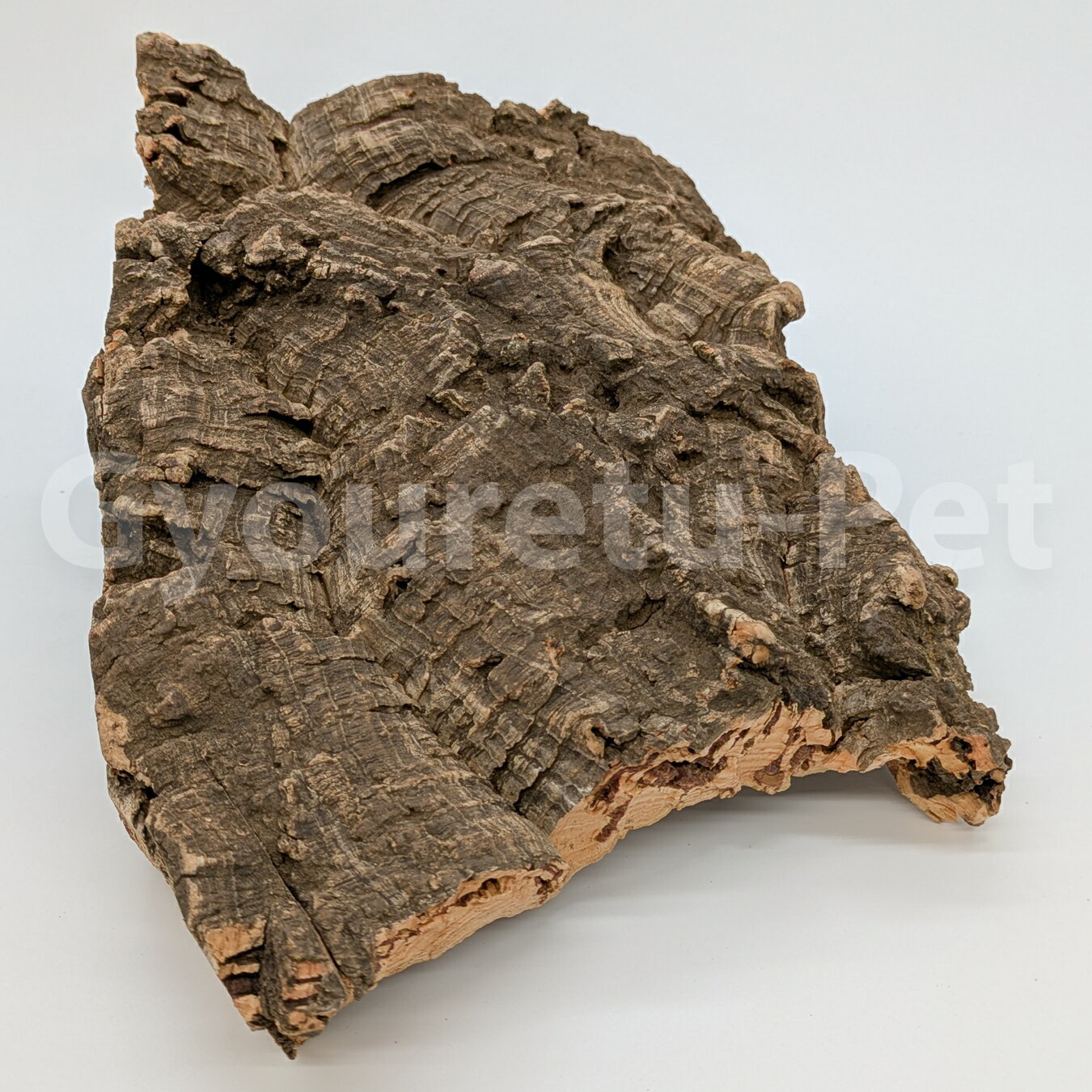 楽天市場】コルクシェルターの通販