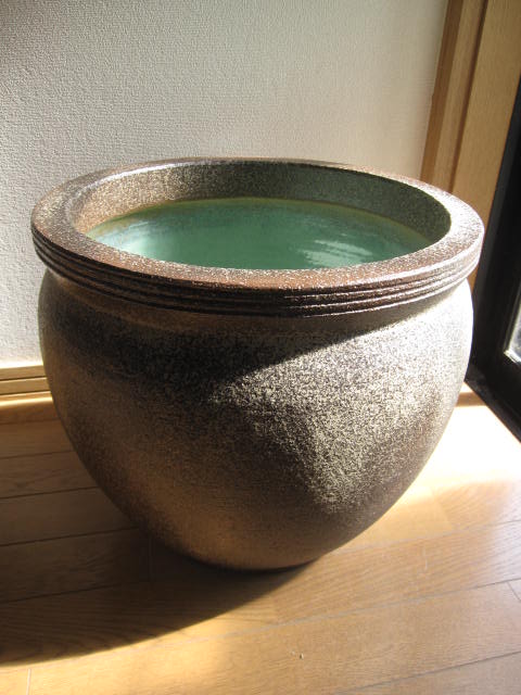 楽天市場】めだか 壺の通販