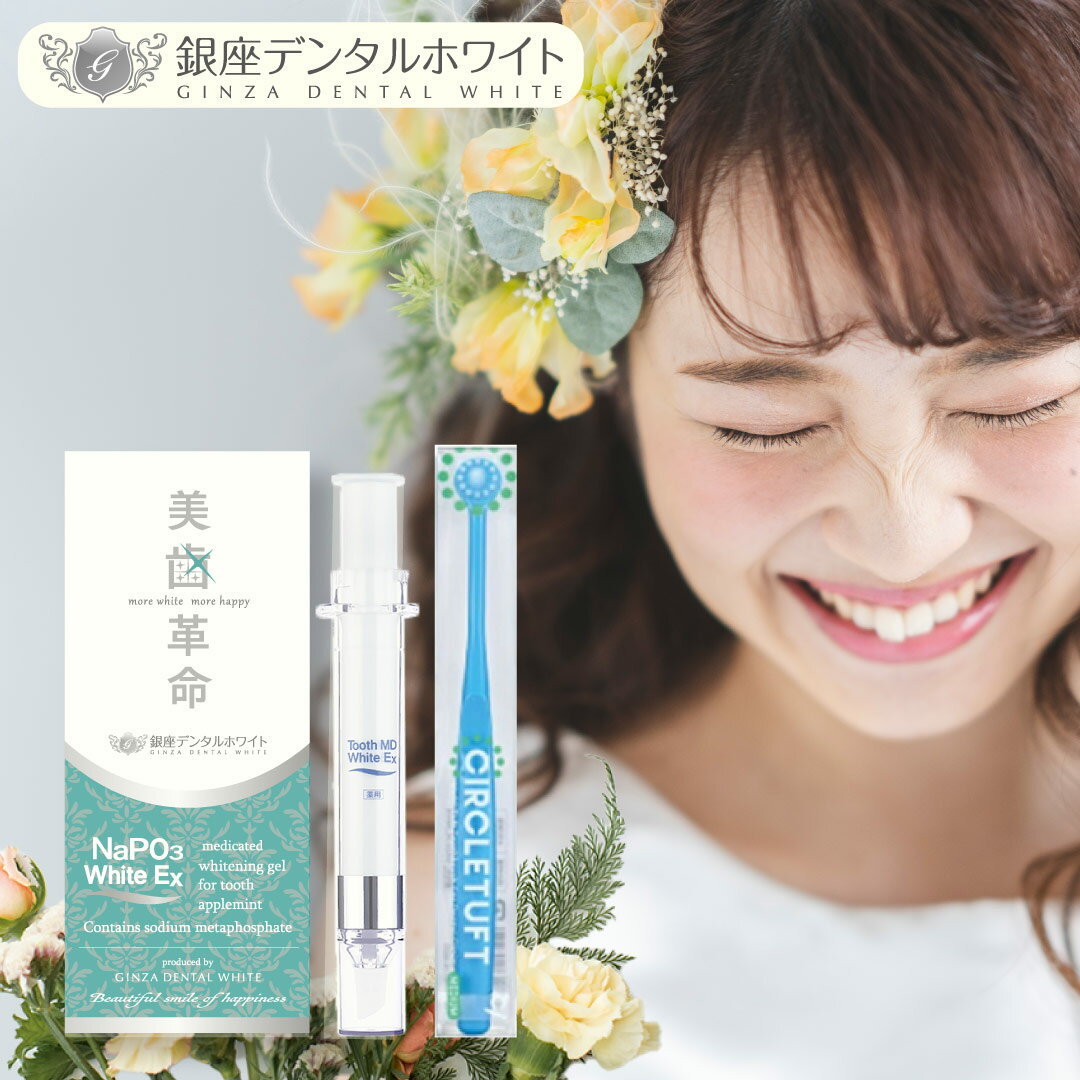 楽天市場】美 歯 口 シャリオンの通販