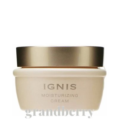 未使用品 IGNIS モイスチュアライジング エフォリア クリーム 50g