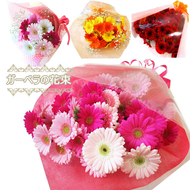 楽天市場】ガーベラ（植物の本数10本）の通販