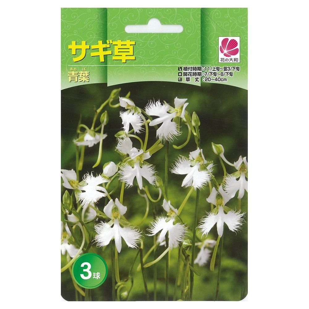 楽天市場】サギソウ の 種の通販