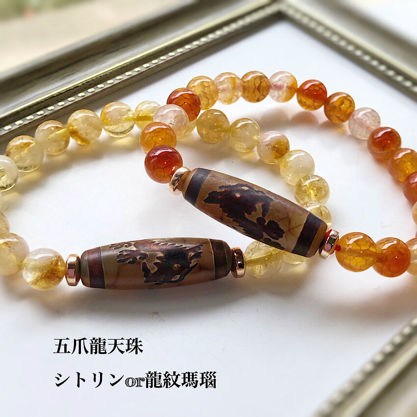 楽天市場】五 爪 龍神 天 珠の通販