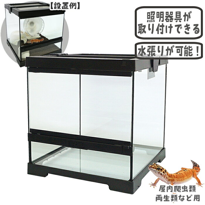 楽天市場】グラステラリウム3030 pt2600の通販